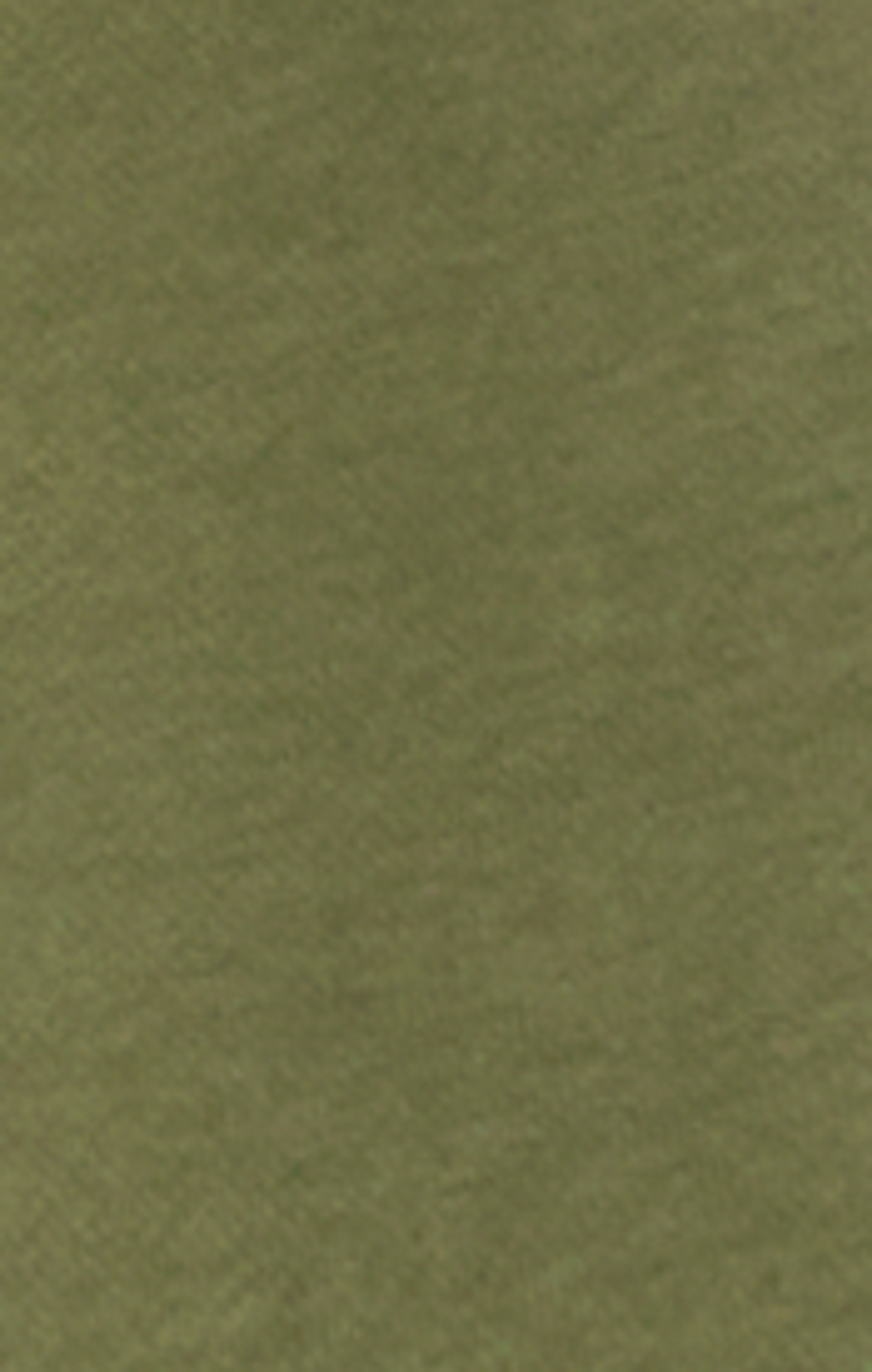 Winter Moss - Green