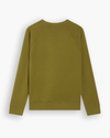 View of model wearing Avocado Crewneck Sweatshirt, Regular Fit.