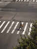 Person crossing a street at a crosswalk with trees in the foreground, wearing casual clothing from Dockers.